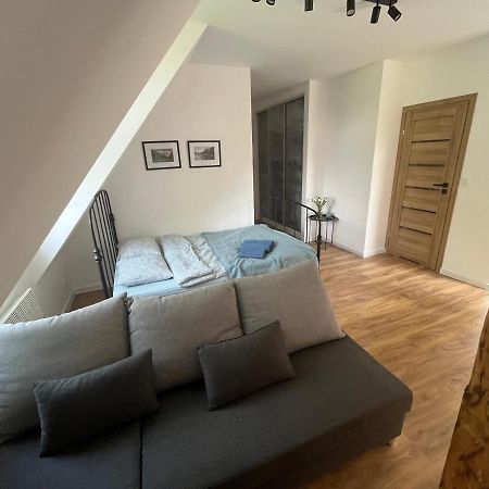 Apartament Willa Bellevue Рабка Екстер'єр фото